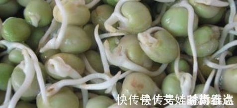 豌豆苗|会吃的人才健康,推荐以下食物,疏通血管,对抗衰老,增强免疫力