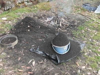 3种东西用来养花，抓把撒到花盆中，十年不施肥，依旧开花