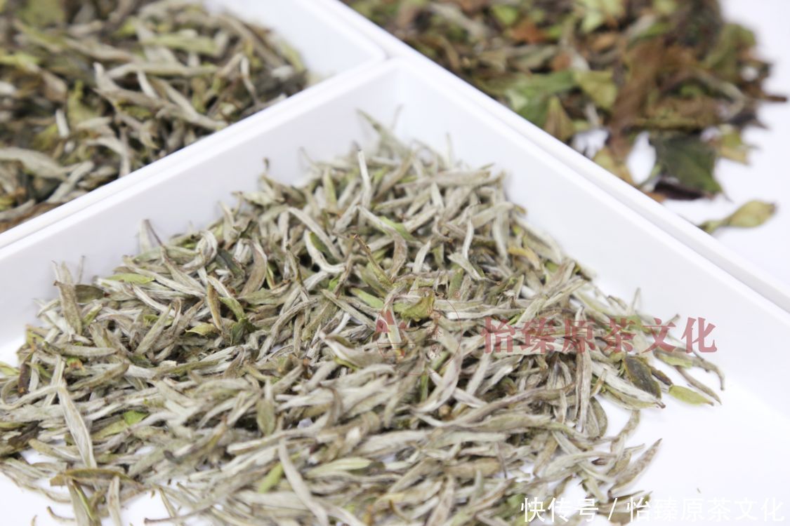 清热解毒|你的体质适合喝什么茶?夏日到来,一起来学会喝茶