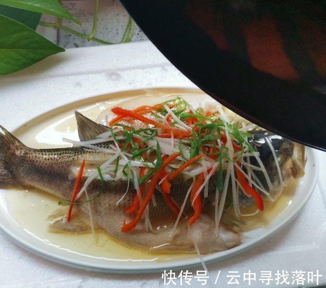 一道味道鲜美的清蒸鲈鱼,鱼肉鲜嫩!