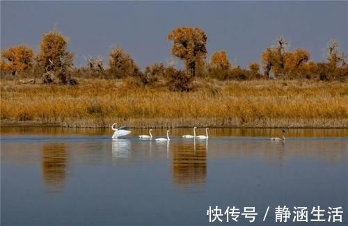 路况|最美风景在路上去南疆 体验一场玄奘足迹的自驾旅程