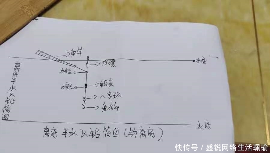 千错万错就不该收竿，鲫鱼起浮后，只需调整一番，爆护都没问题