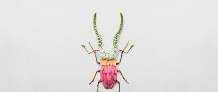 花卉&他拿花瓣、树叶随便一剪一贴就卖23万!网友:买过的人都说“值”