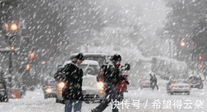 入冬囤菜,遇到6种“廉价蔬菜”别手软!速冻储存,买一次吃一月!