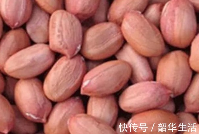 孙安迪|花生的“最佳搭档”找到了，搭配一起煮，营养翻倍，肾气也补满！