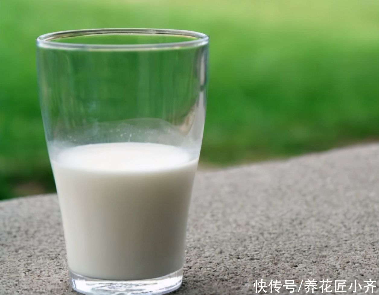 想要养好多肉，新手忌用“三种水”，否则容易伤根，严重会化水