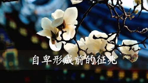 国学|孩子“自卑”有哪些迹象？国学忠告：这3种表现，家长要留心