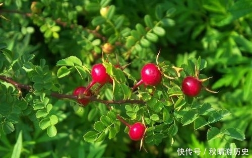 厉害|真正厉害的人,都有这样一个特质,值得大家学习