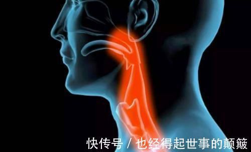 止咳|慢性咽炎不用慌,水里加点它,清热凉肺,止咳润燥,消除喉咙肿痛