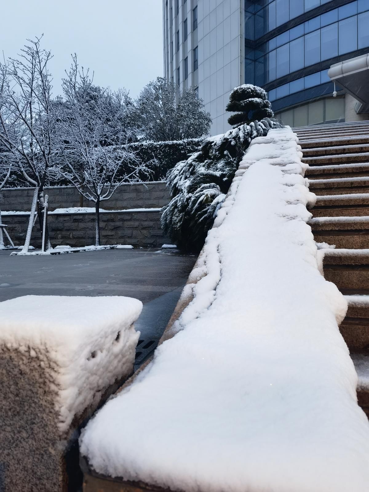 雪下|雪下一整夜 武汉披白衣