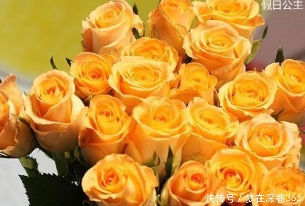 喜欢菊花，不如养盆“高端玫瑰”假日公主，花姿贵气，金光灿灿