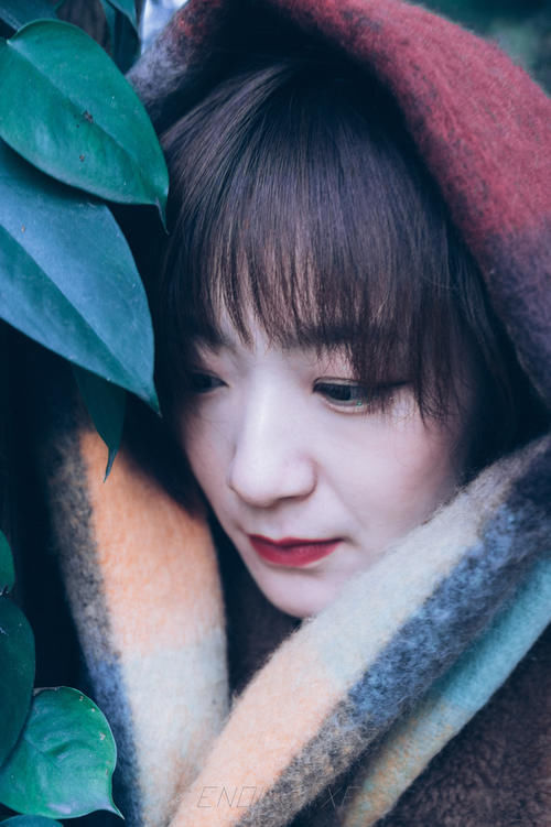 雾绿|冬,来临前的雾绿…