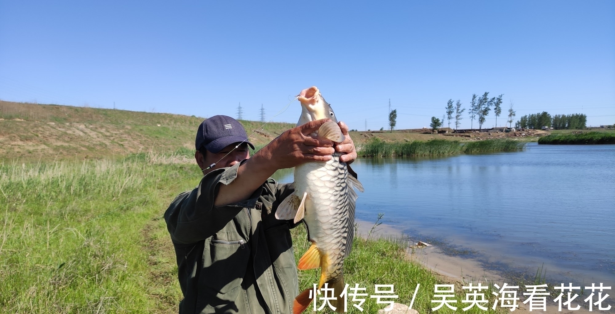 秋季野钓鲤鱼的秘密,用得好大鲤鱼排队咬钩,用不好只能钓鲫鱼
