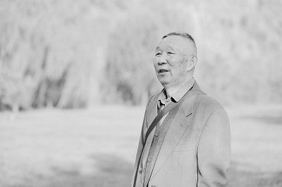 杨氏|用志不分，乃凝于神