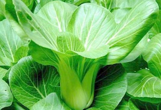 补钙|吃虾皮可以补钙医生真正补钙的是这4种食物,很多人却不爱吃