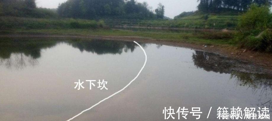 冬季阴天,鱼都藏三个“特殊”位置,只有老手才懂