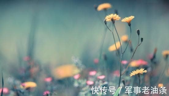 相伴|8月中旬，月老庇佑，觅得真爱，时来运转，相依相伴，携手走天涯