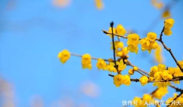 话不可随口,事不可随心,人不可随意(深度)