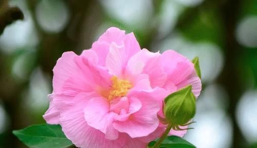 智商|出生在几点钟的孩子,智商最高,将来一定大有出息,前途光明