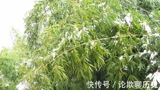 中国文学@唐诗里一首描写风的诗作,通篇都是风,但是却没有一个风字!