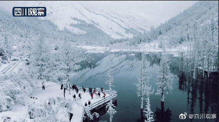 四姑娘山|像童话！四姑娘山空灵雪景似琉璃