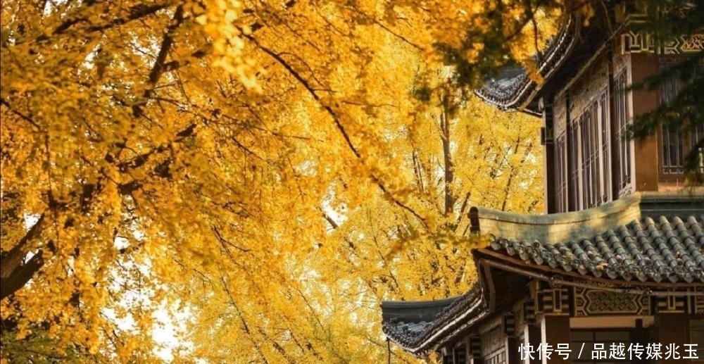 “庙小妖风大,人狠话不多”:真正有本事的人,都很安静