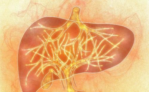 肝不好别吃药，多吃5种食物，给肝脏“大扫除”，肝越来越好!
