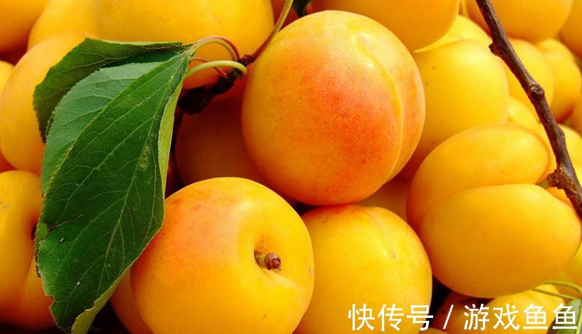 秋冬|孕妇秋冬多吃三种水果,能帮助排出毒素,让肚子里的胎儿更好发育