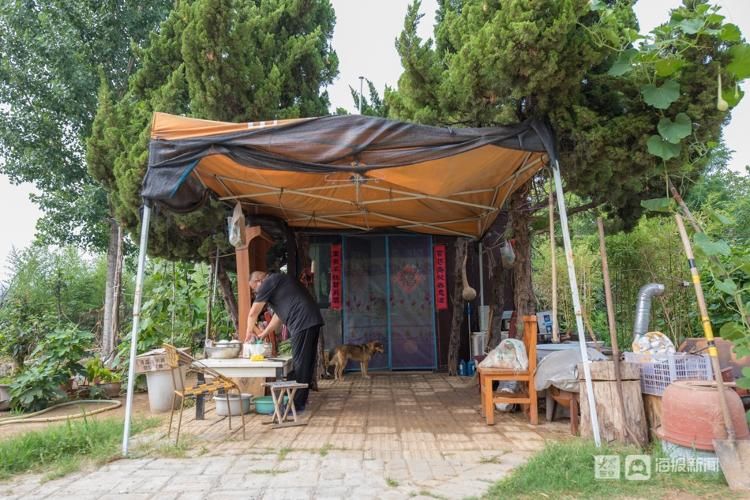 荷花|【组图】一人一狗一院花，济南大明湖35年“养荷人”的故事