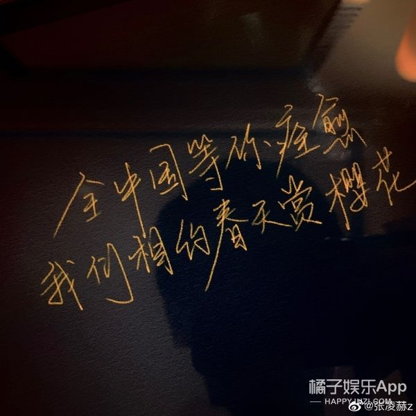 海景房|站姐能買幾套海景房全靠他了？