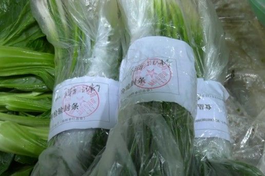 權威調查！常吃的這種蔬菜擦出藍色物？還能放心吃嗎？臺州最新實驗結果來了