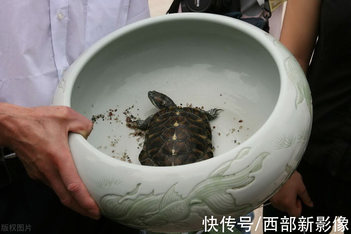 季羡林&季羡林故居被盗案始末:秘书干女儿砸窗洗劫藏书，被捕后表情搞笑