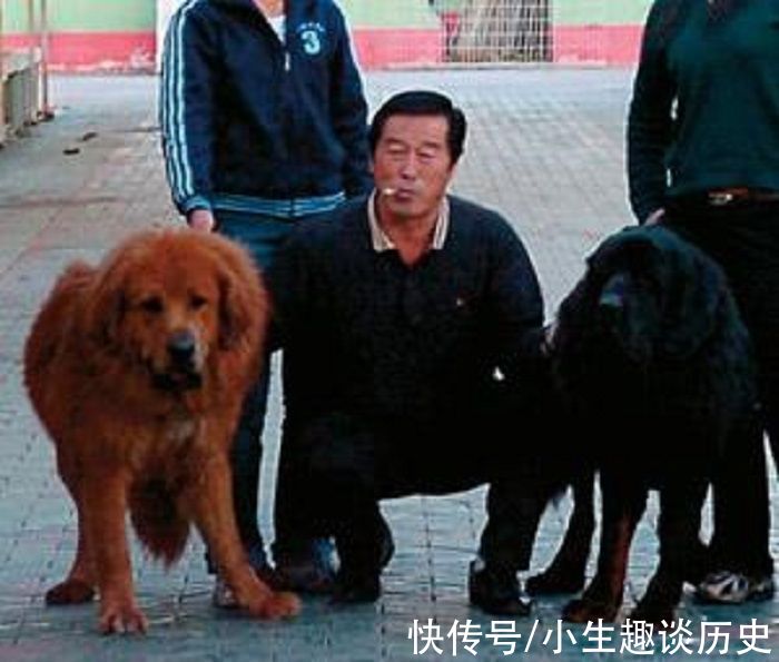 马家军|马家军教练马俊仁:跌下神坛后养狗赚千万,年过70重返俱乐部执教