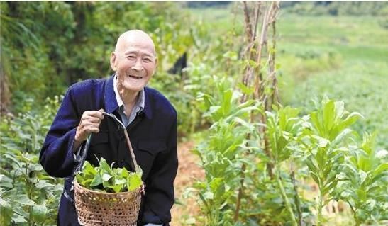 老人|100岁长寿老人的健康秘诀，从来不碰一件事