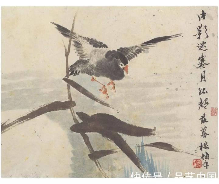 吴昌硕@任伯年的小品，色感十足