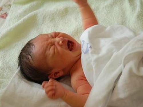 奶粉|婆婆用鸡汤和儿媳“换母乳”,却说钱白花了,宝妈好心办坏事