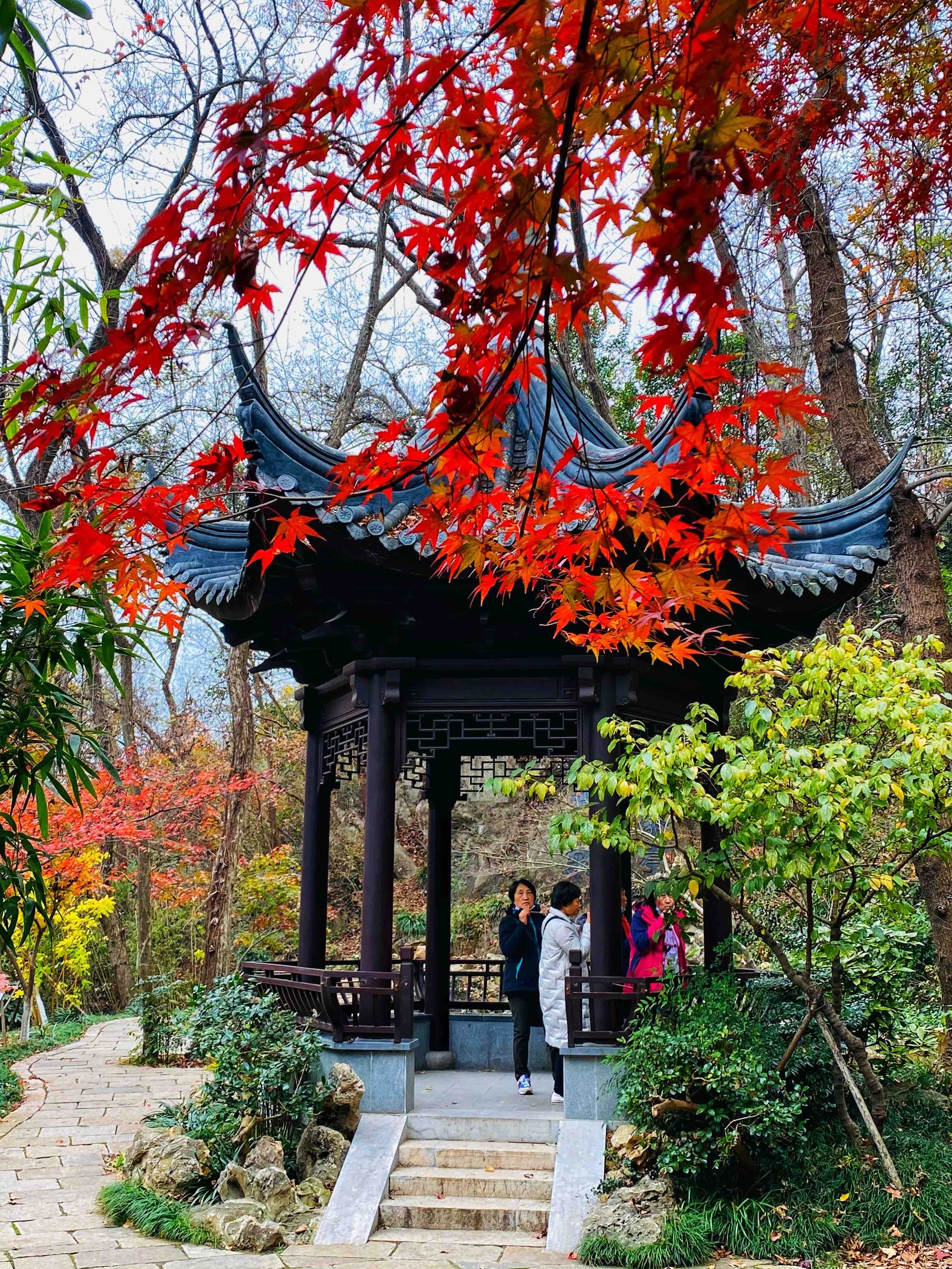 到栖霞山赏|初冬的南京栖霞山，来一场色彩斑斓的旅行