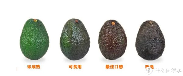 指南|反卷！无器械减肥+合理饮食让你轻松在家都可以一个月瘦10来斤~附上动作指南~！