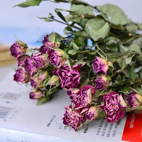 七夕收到的鲜花,看几天就败教你3招,放一年都没事!