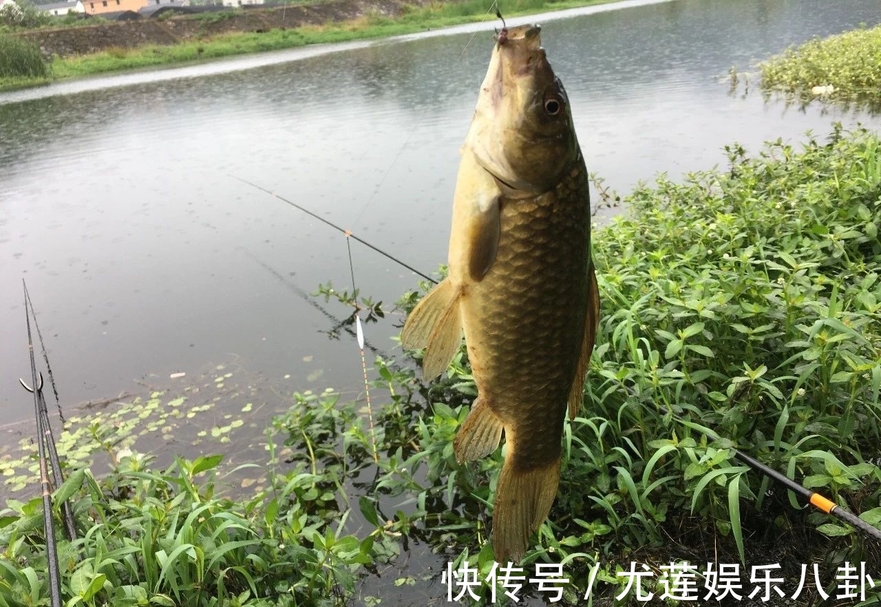 渔获|蚯蚓钓鱼,不可不知的6个技巧,能让你渔获翻2倍!