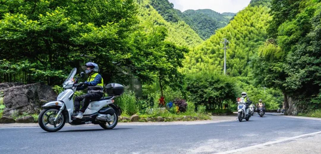 车队|上海车友安吉龙王山二日游