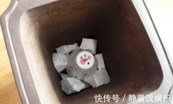 浇水|兰花就要这样养，不但不黄叶，还年年都有花赏！