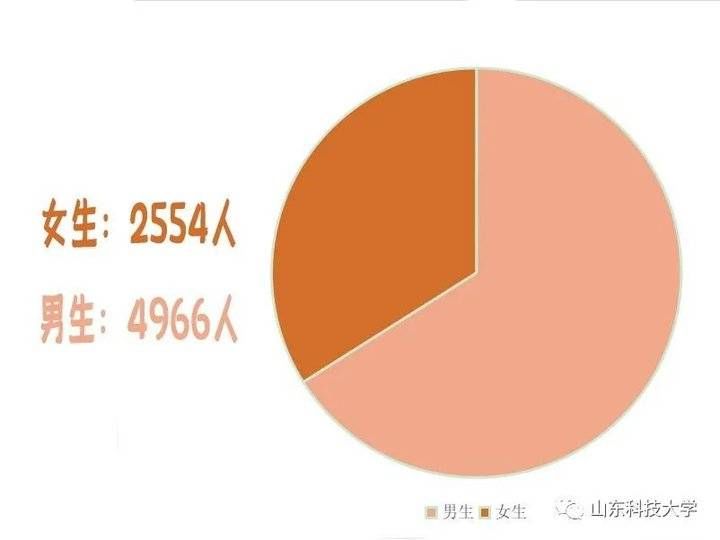 塔吉克族|山东、河北、宁夏老乡最多，山东科技大学2021新生数据来了