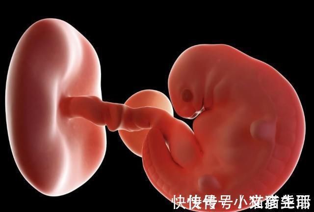 胎儿|怀孕1~40周,每周身体有何变化?送你一份“孕期清单表”!