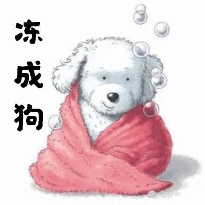 寒潮蓝色预|下雪了！福建真的下雪了！国家级”寒潮杀到，泉州人挺住……