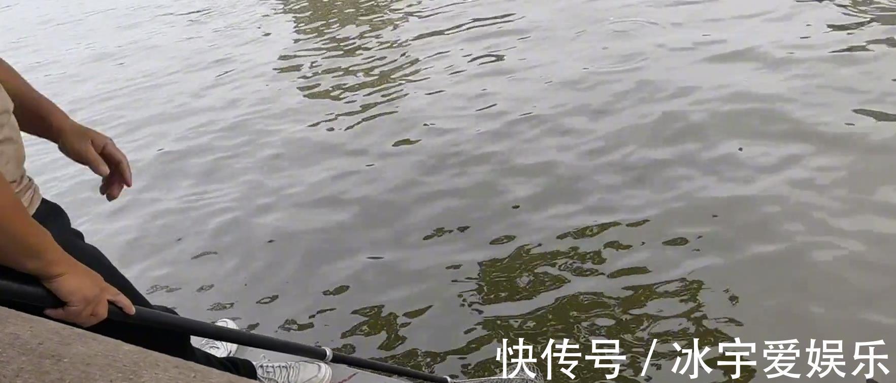职业|珠江边的职业钓鱼人,一天可赚六百,其他钓鱼人这样钓鱼不纯粹