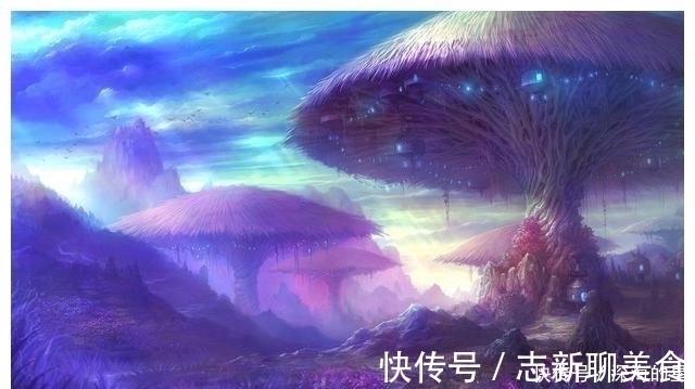 巨蟹座|藏龙卧虎，很有实力的四个星座：不高调，看起来不像高手