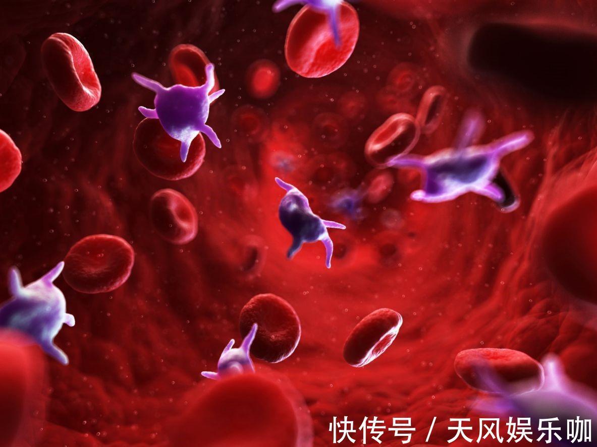 血型能决定“健康”和“寿命”?A型、B型、O型、AB型,哪种最好