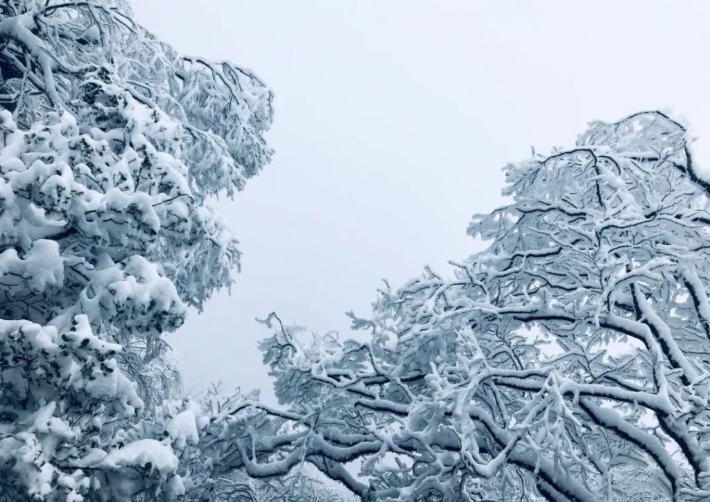 县区|初雪！周边县区雪景美图来袭！