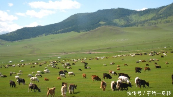 中国人称蒙古国为“外蒙”，那蒙古国是怎么称呼我们网友扎心！